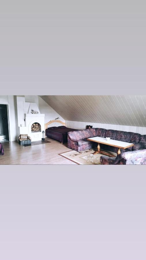 Stasio Balseviciaus Homestead Raudonė Extérieur photo