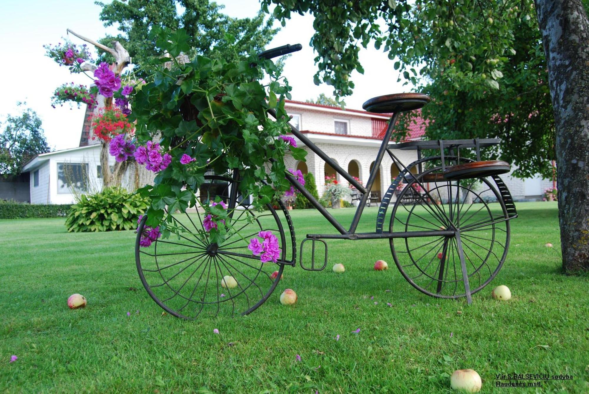 Stasio Balseviciaus Homestead Raudonė Extérieur photo